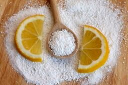 The Hidden Source of Citric Acid: Black Mold in Your Food and Products